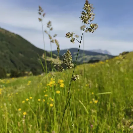 The One Appartement Kirchberg in Tirol