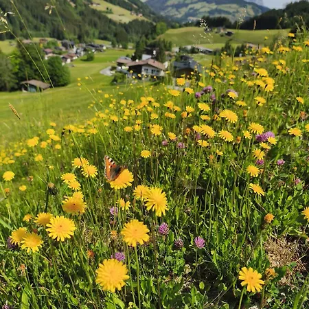 The One Appartement Kirchberg in Tirol