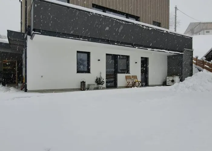 Apartment The One Kirchberg in Tirol